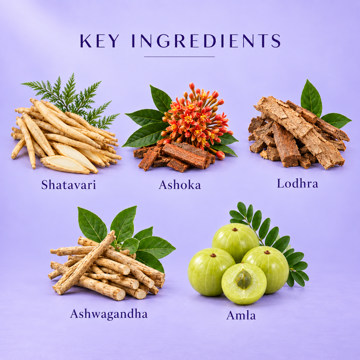 Ayumcure Herbs NariAarogyam Menopause Wellness Juice for Women 40+, 1L