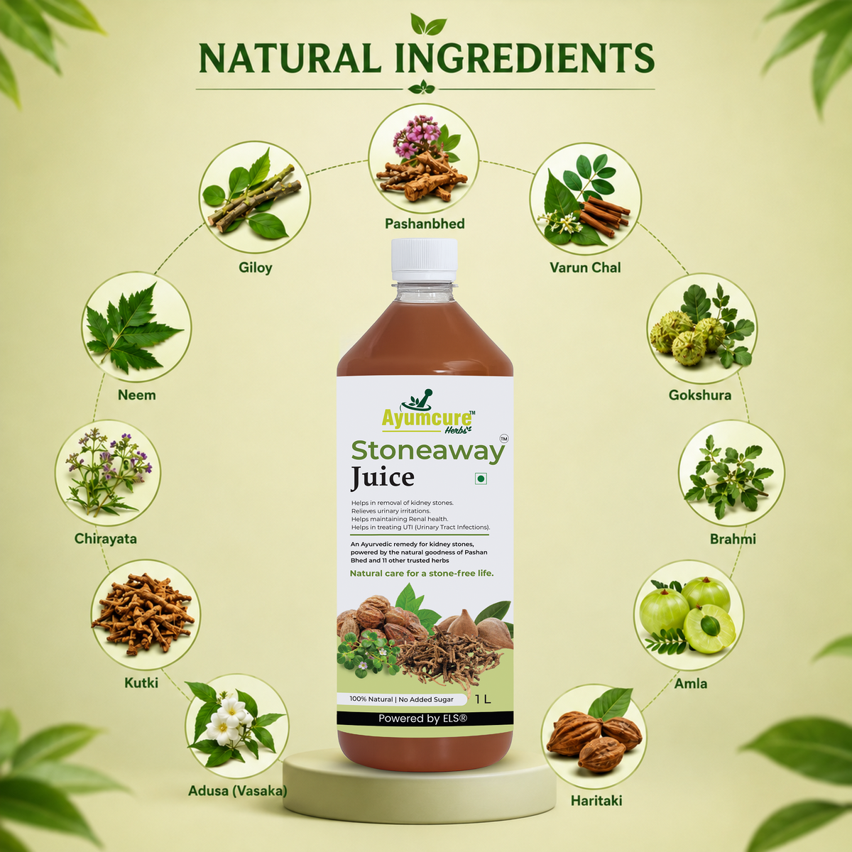 Stoneaway Juice – Kidney Stone & UTI Support | Pashan Bhed + Gokshura | Unisex
