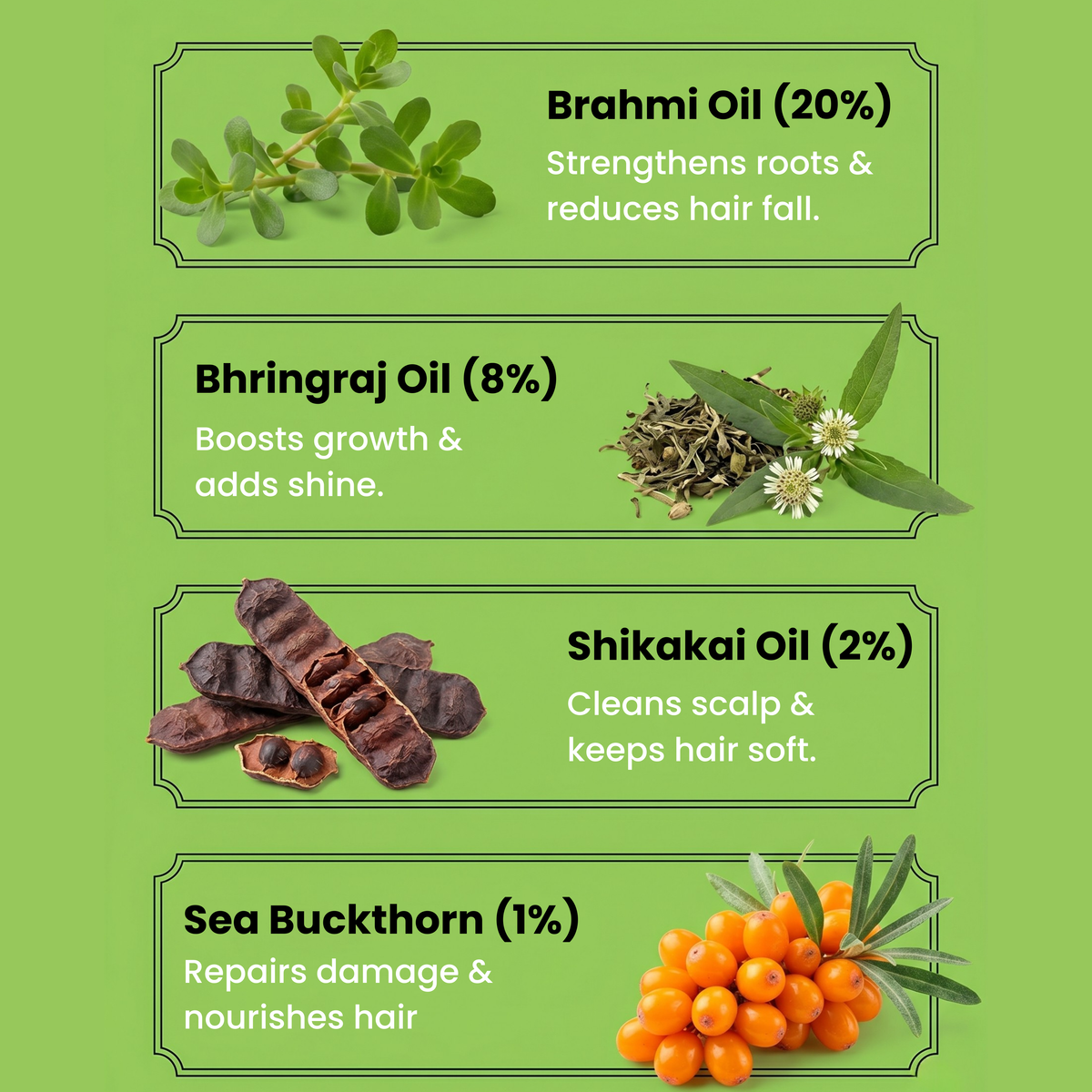 Hair Oil, 1% Sea Buckthorn, 20% Brahmi, 8% Bhringraj, 2% Shikakai, Men & Women
