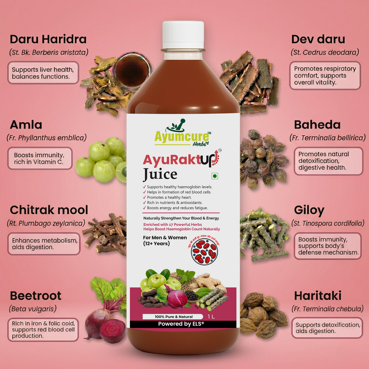 AyuRaktUp Juice – Blood Health & Iron Support | Helps Reduce Fatigue | 100% Natural | 1L