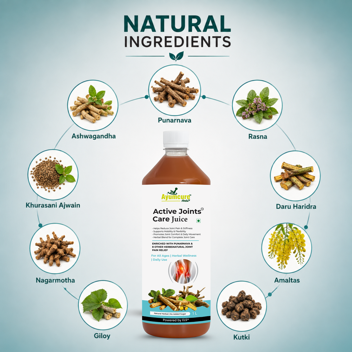 Active Joints Care Juice | Mobility & Flexibility Support | Men & Women