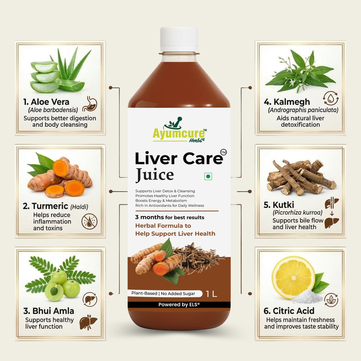 Liver Care Juice – Aloe Vera, Turmeric, Bhui Amla & Kalmegh | Men & Women