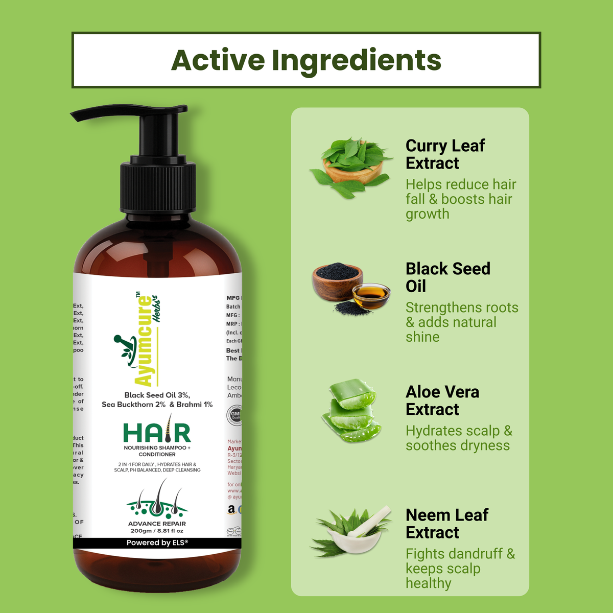 Hair Growth Kit: Shampoo + Conditioner + Oil + Biotin Serum | Men & Women