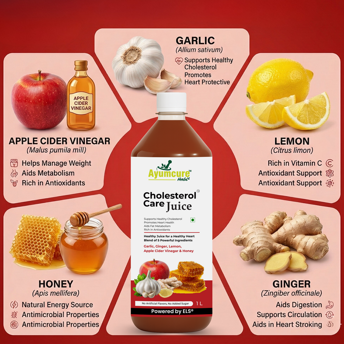Cholesterol Care Ayurvedic Juice, Garlic, Ginger, ACV & Honey, Men & Women