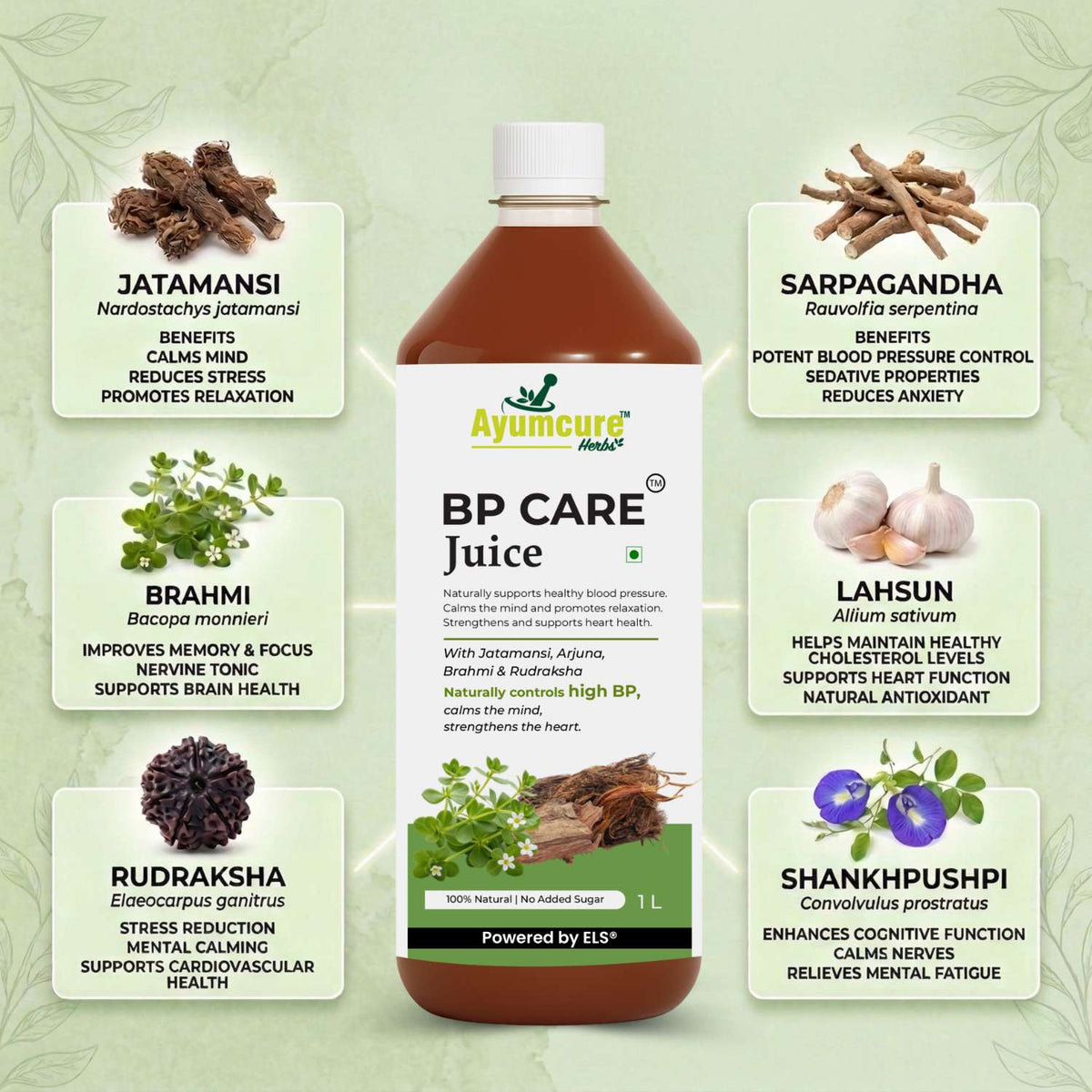 BP Care Ayurvedic Juice – Manages High Blood Pressure | Sugar Free | Men & Women