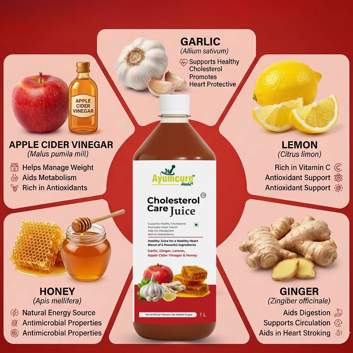 Cholesterol Care Ayurvedic Juice | Garlic, Ginger, ACV & Honey | Men & Women