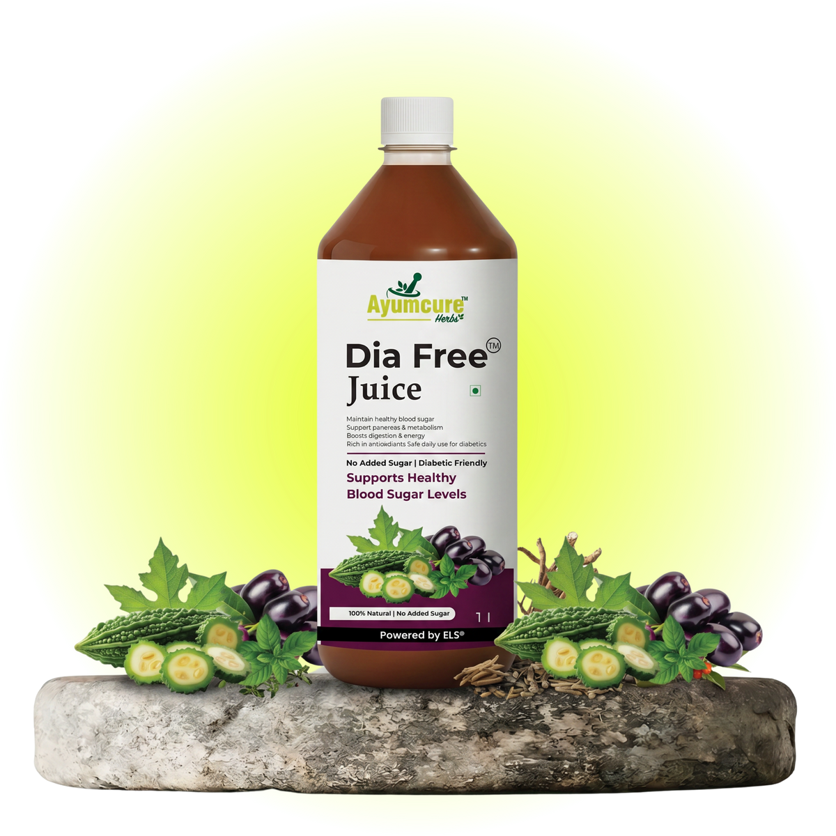 Dia Free Ayurvedic Juice, Amla, Karela, Jamun & Tulsi, Men & Women