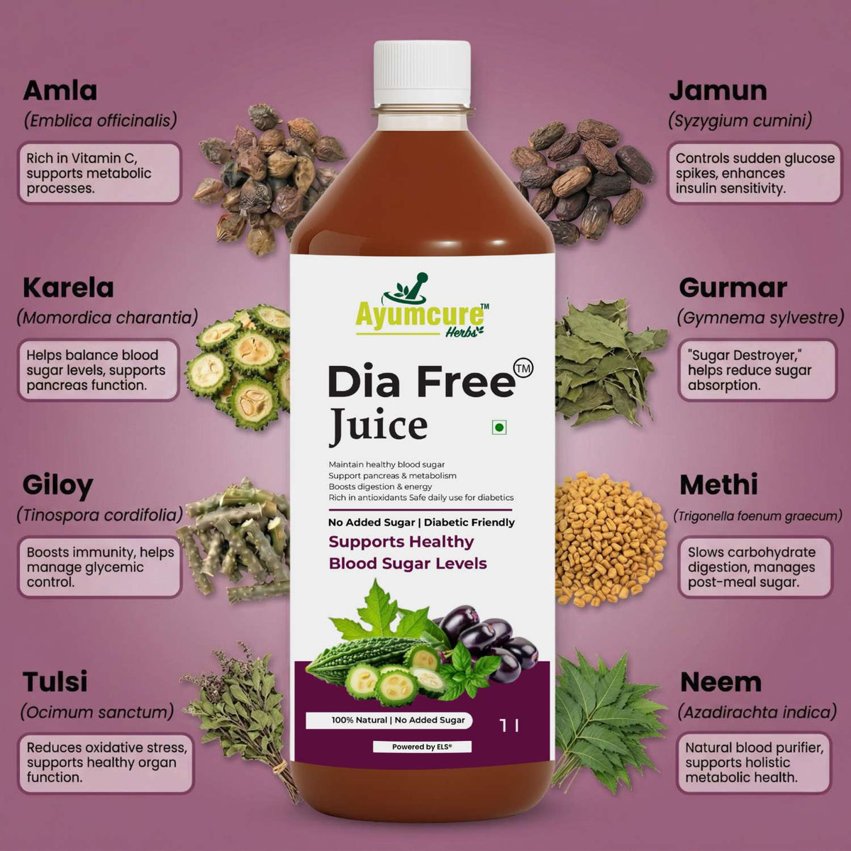 Dia Free Ayurvedic Juice | Amla, Karela, Jamun & Tulsi | Men & Women