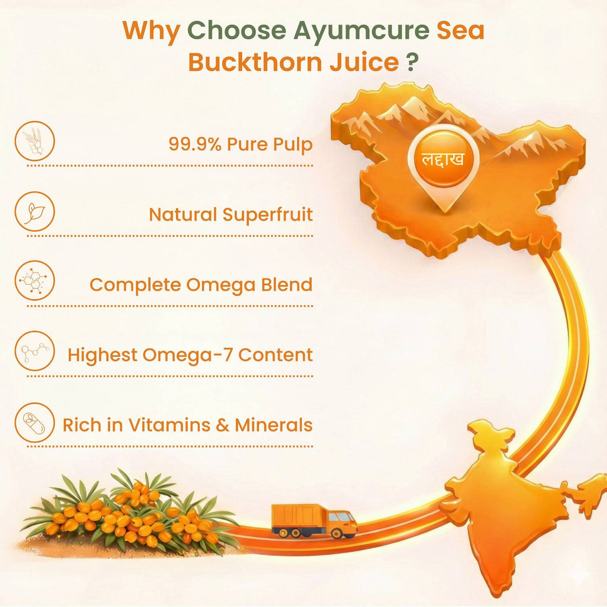Sea Buckthorn Concentrate – Omega 3,6,7,9 & Antioxidants | Sugar Free | Men & Women