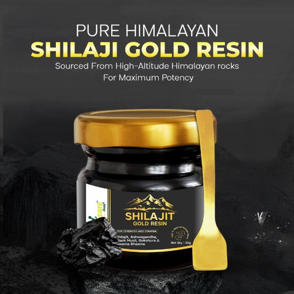 Shilajit Gold Resin – 70%+ Fulvic Acid, Pure Himalayan | 24K Gold | Lab Certified