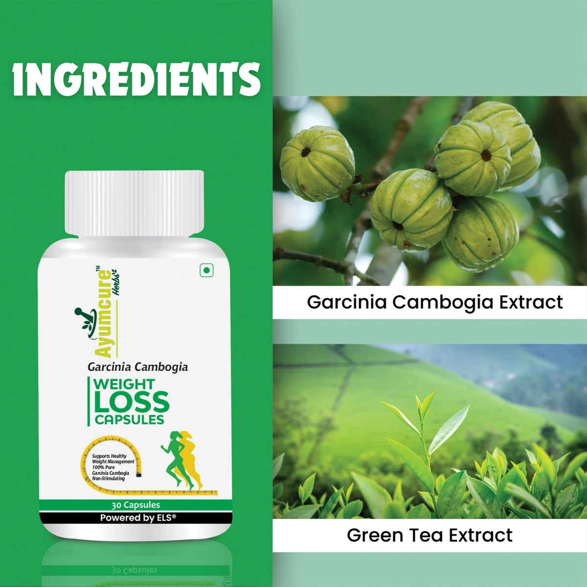 Ayurvedic Weight Management Kit – Ayurvedic Fat Burn Capsules + Wellness Juice + Plant Protein Blend | High Protein & Fiber for Natural Fat Burn | Men & Women