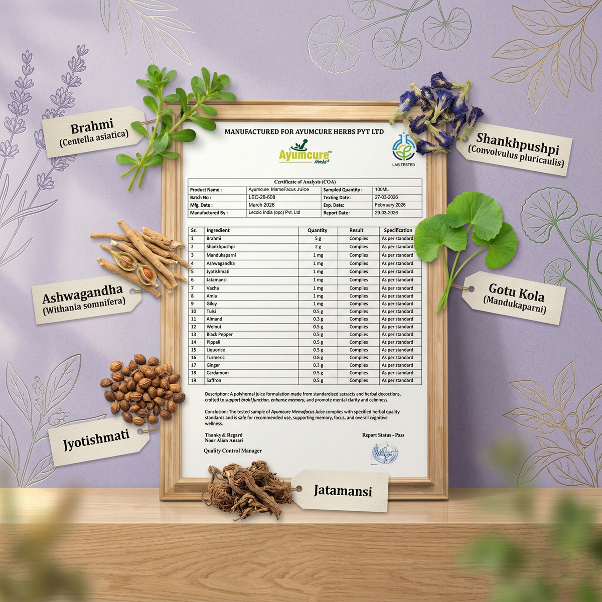 MemoFokus Ayurvedic Brain & Memory Support Juice | 11+ Herbs | Men & Women